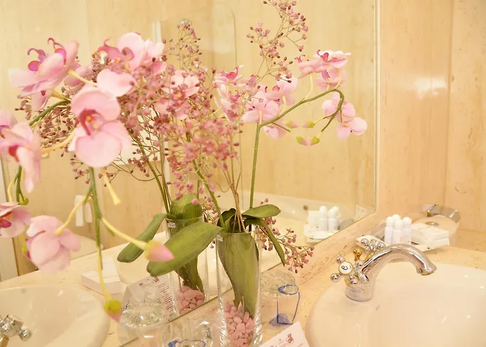 酒店 萨拉曼卡阿特尤斯卡梅丽塔斯酒店 萨拉曼卡