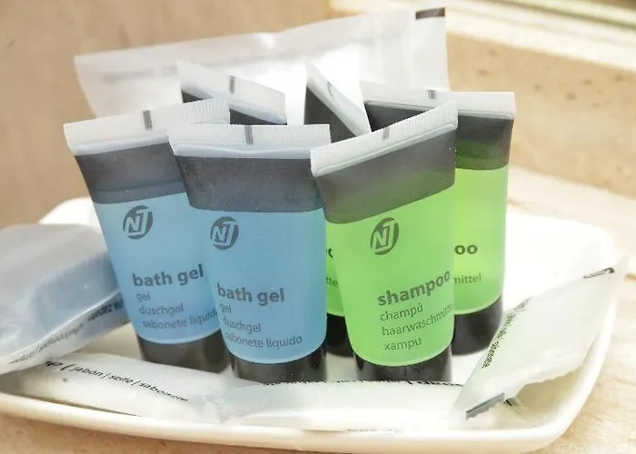 萨拉曼卡阿特尤斯卡梅丽塔斯酒店 酒店 4*